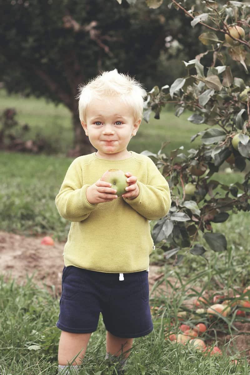 Kind hält einen frisch gepflückten Apfel in der Obstwiese